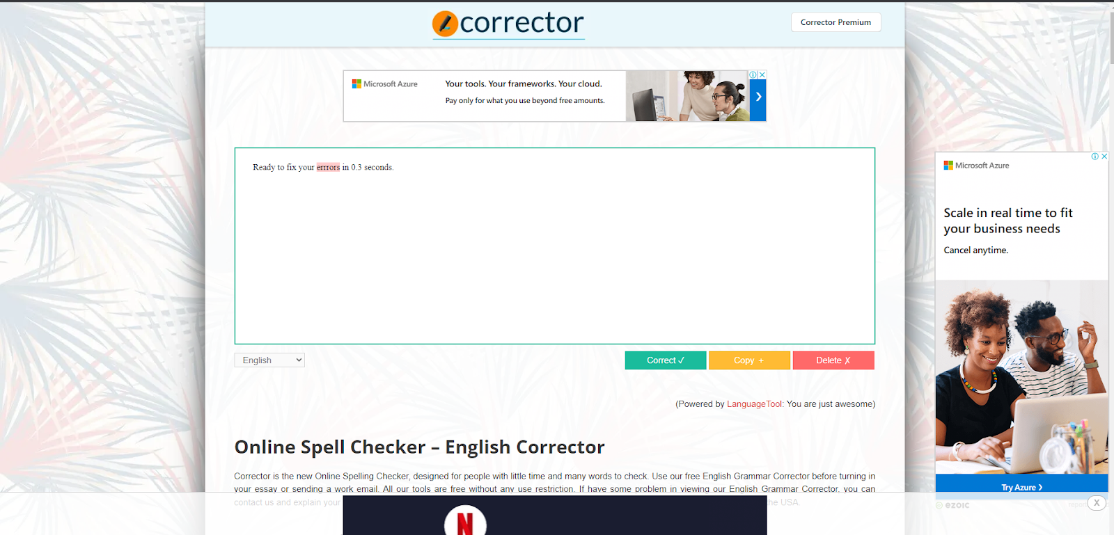 Best Spanish Grammar Checkers: corrector landing page 