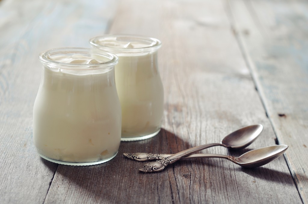 Healthy Homemade Yougurt