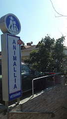Animallia Hayvan Hastanesi
