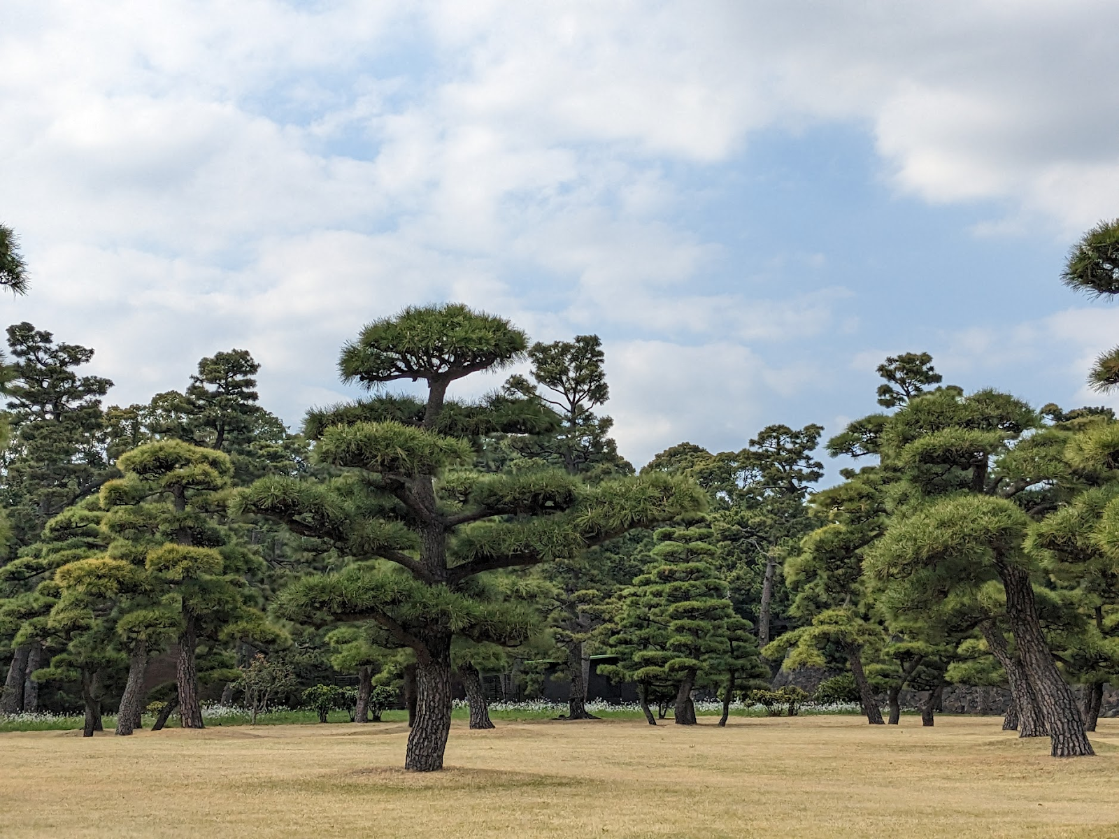 Recommendations and Reflections from a New Yorker's First Time in Japan