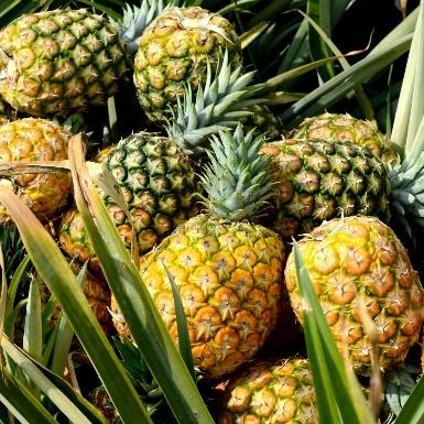 Here's Why Pineapples Always Hurts Your Tongue