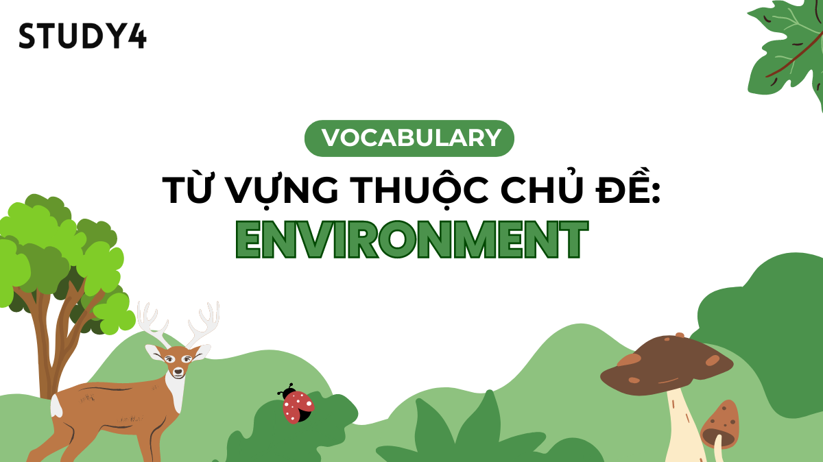 environment vocabulary