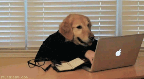 Gif of a dog in a turtleneck jumper blogging