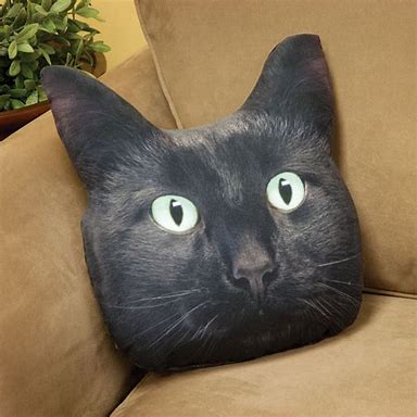 Cat Themed Pillow