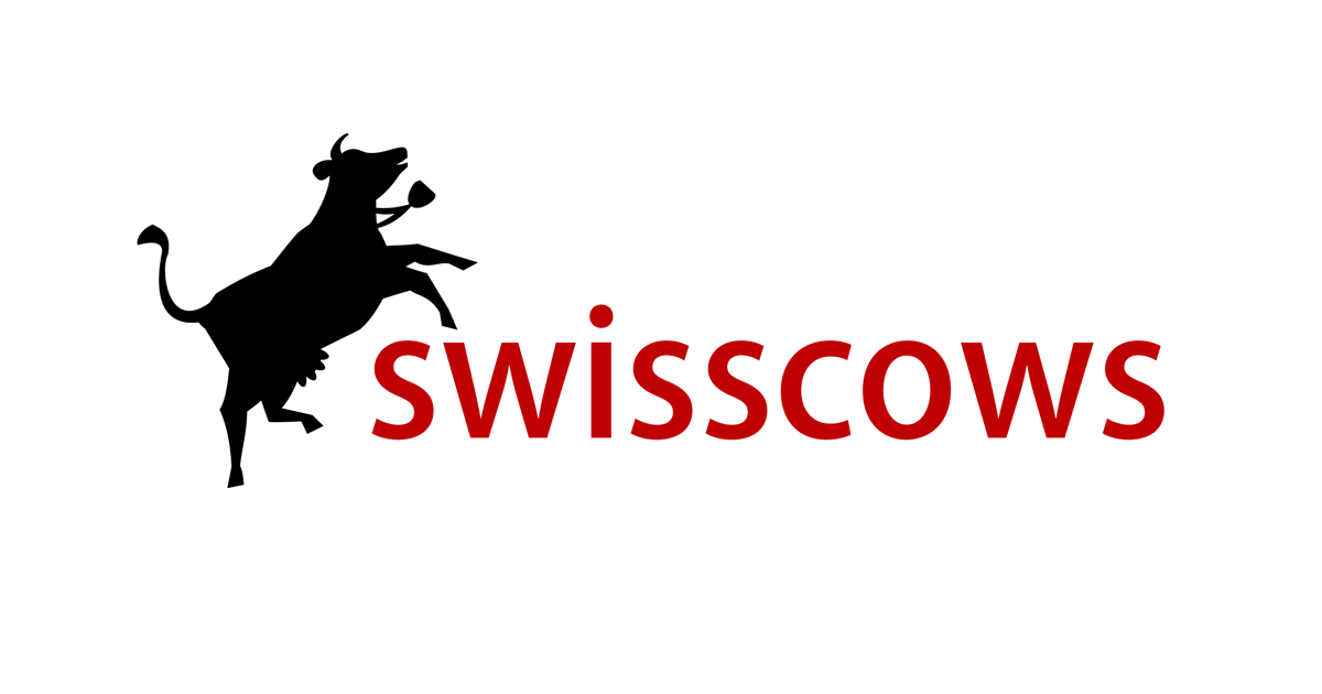 تصویری از موتور جستجو swisscows