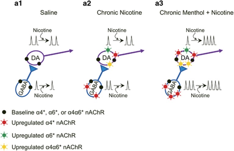 Chronic Menthol plus Nicotine