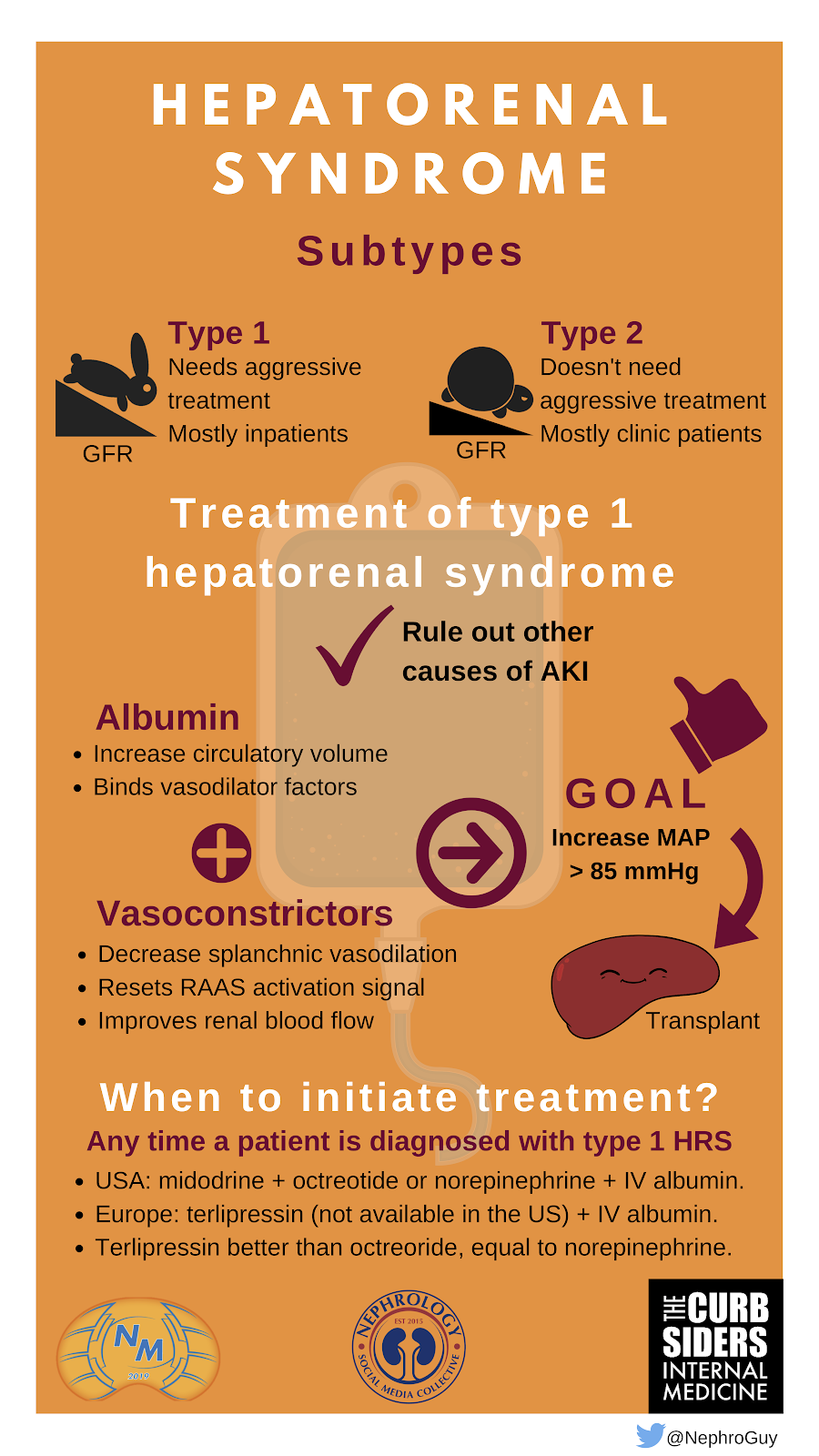 Infographic - Episode summary of hepatorenal syndrome by @NephroGuy