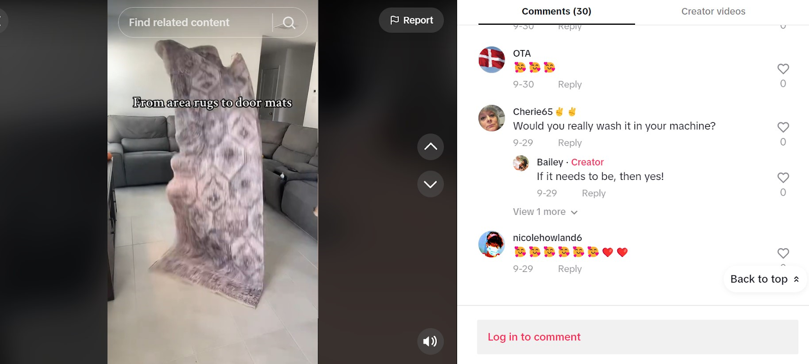Screenshot of Bailey's post promoting a rug and responding to comments