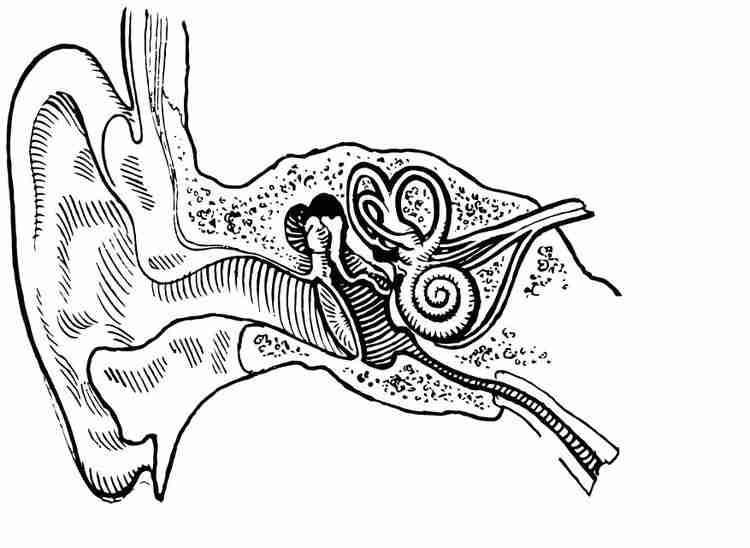 Ototubaritis, una afección del oído medio.