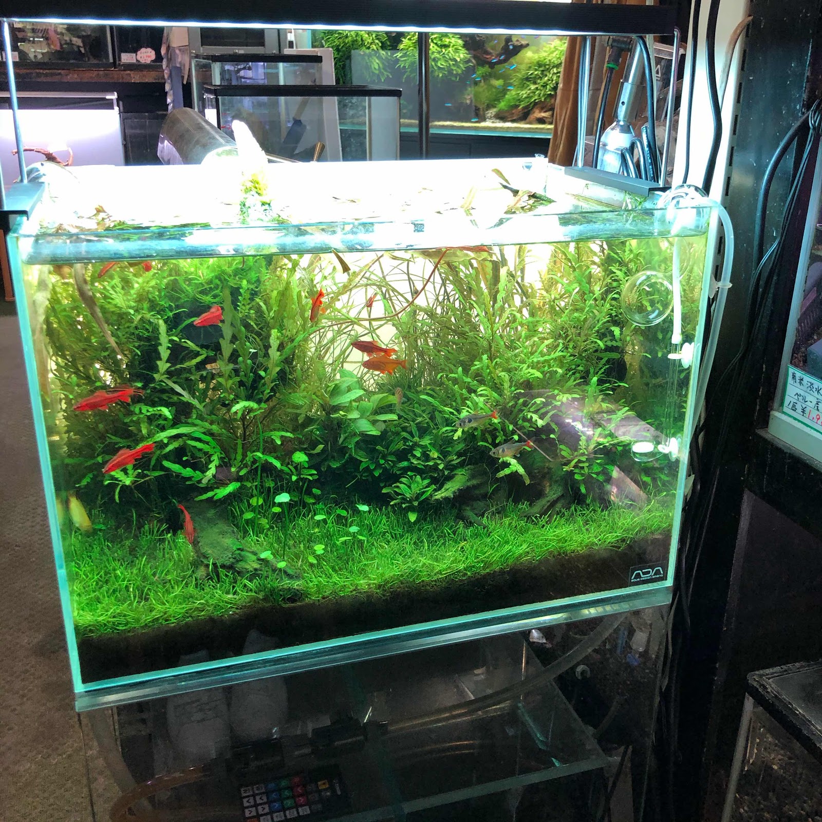 アクアテイク ｅ ブログ スマホで調光 タイマー設定ができる高性能led Chihiros Wrgb の取り扱いを始めました