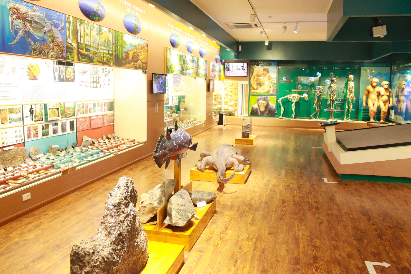 Bảo tàng thiên nhiên là nơi các bé có thể nâng cao kiến thức về sinh học, địa lý 