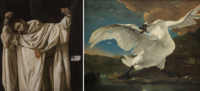 The Martyrdom of Saint Serapion and Jan Asselijn’s The Threatened Swan MosAIc