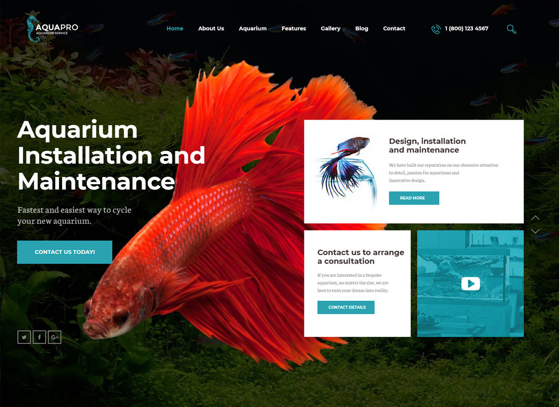 aquapro-aquarium-services-tienda-en-línea