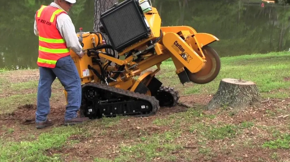 Safety Considerations in Stump Grinding