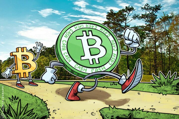 Bitcoin and Bitcoin Cash walking on a path