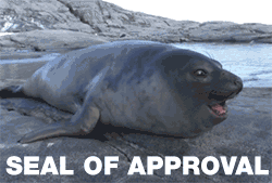 seal-of-approval-social-proof