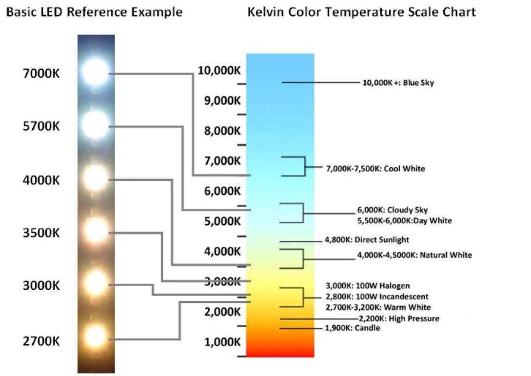 Understanding Color Temperature of LED lighting | RBW