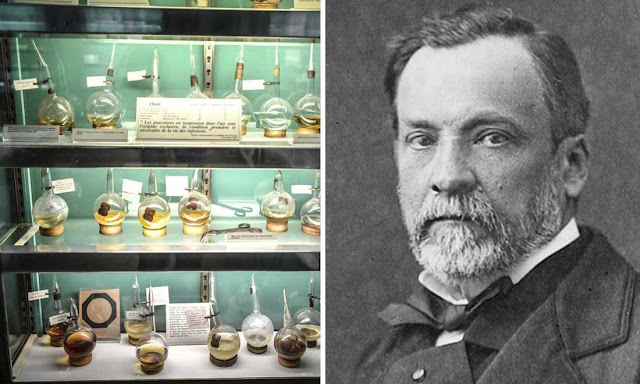 Louis Pasteur và sự ra đời của vacxin bệnh dại