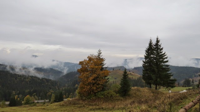 IMG_2796.JPG