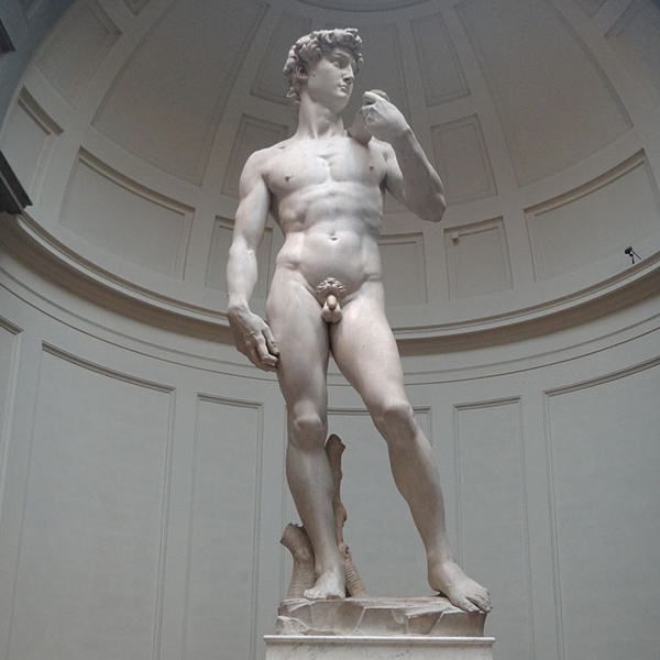 Image result for michelangelo david