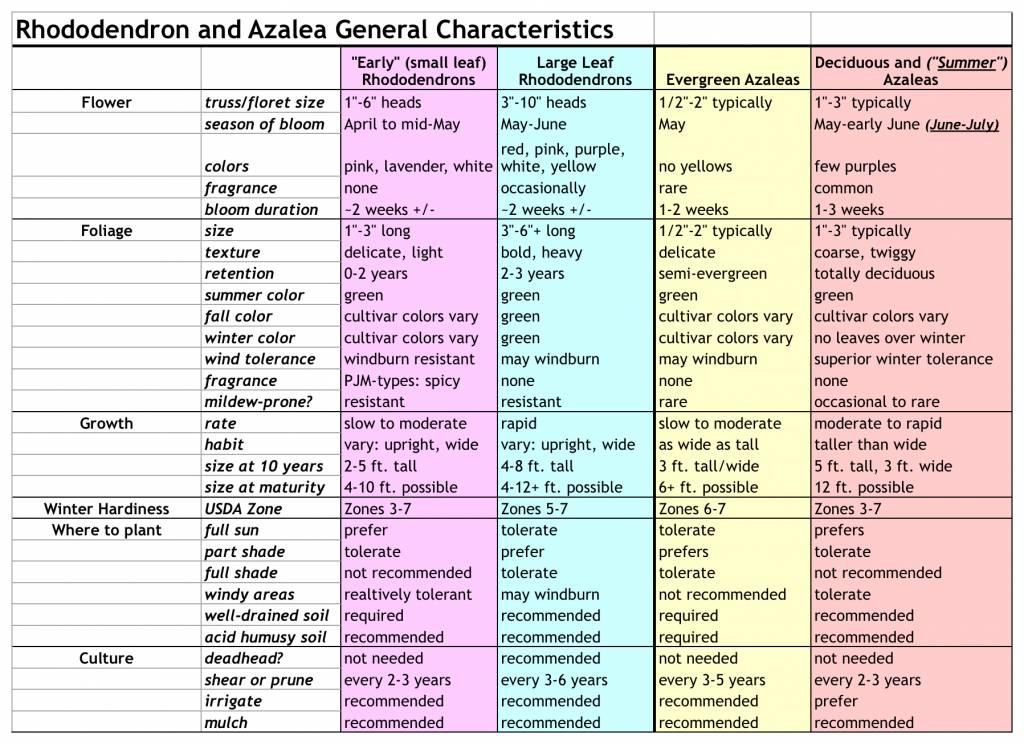 https://www.westonnurseries.com/wp-content/uploads/2020/08/RhodChart-1024x744.jpg