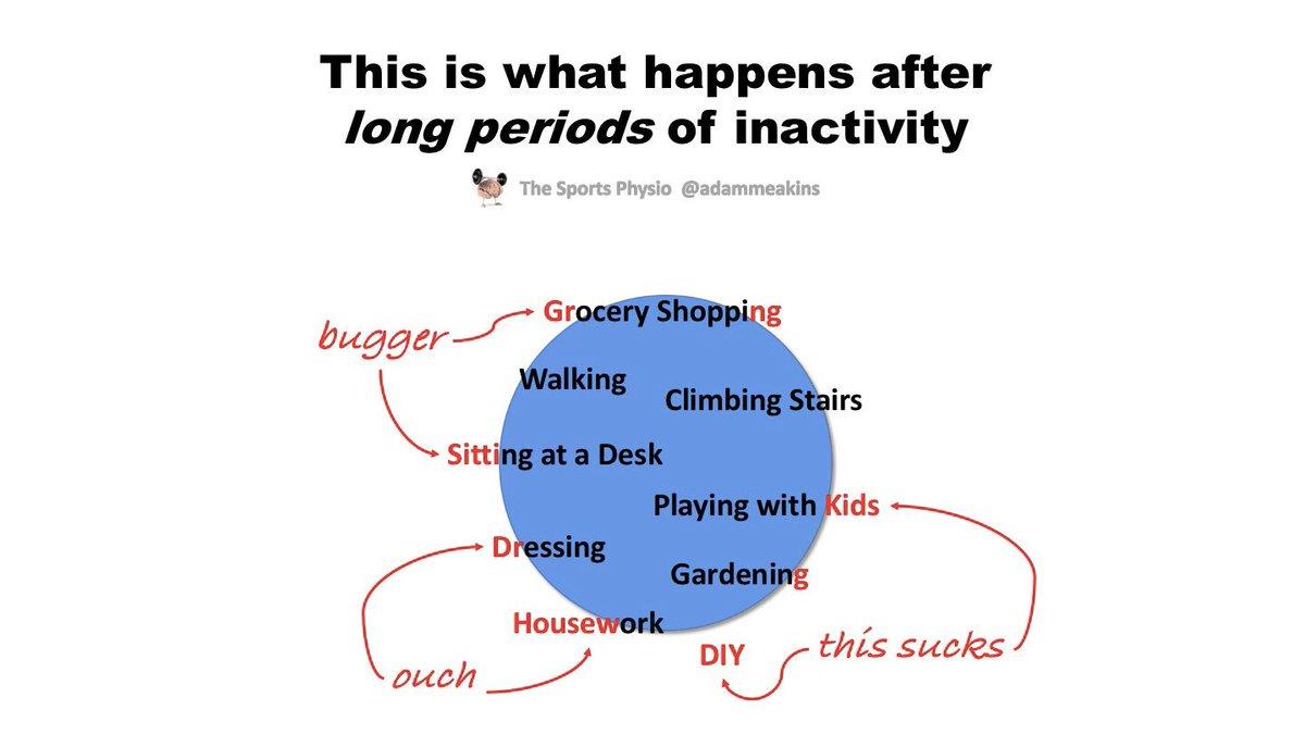 he Sp??rts Physio on Twitter: "Yep seminal paper from 1995... but circles  are eas