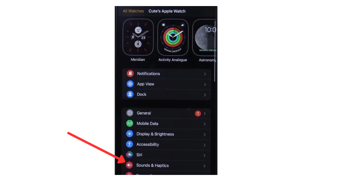 how to turn sound off on apple watch