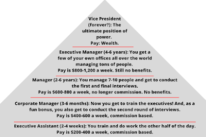 entry level marketing jobs in dc