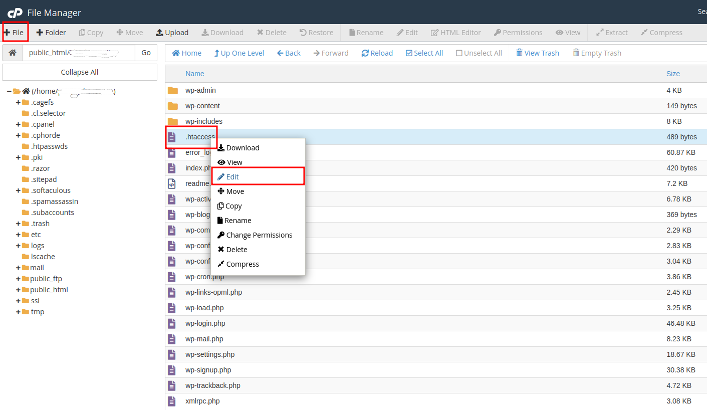 Membuat file .htaccess di cPanel