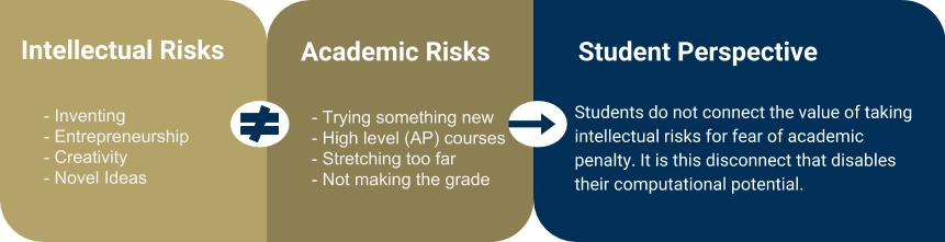 This figure is meant to show the relationship between Intellectual and Academic risks and how this inequality shapes the CS student perspective.