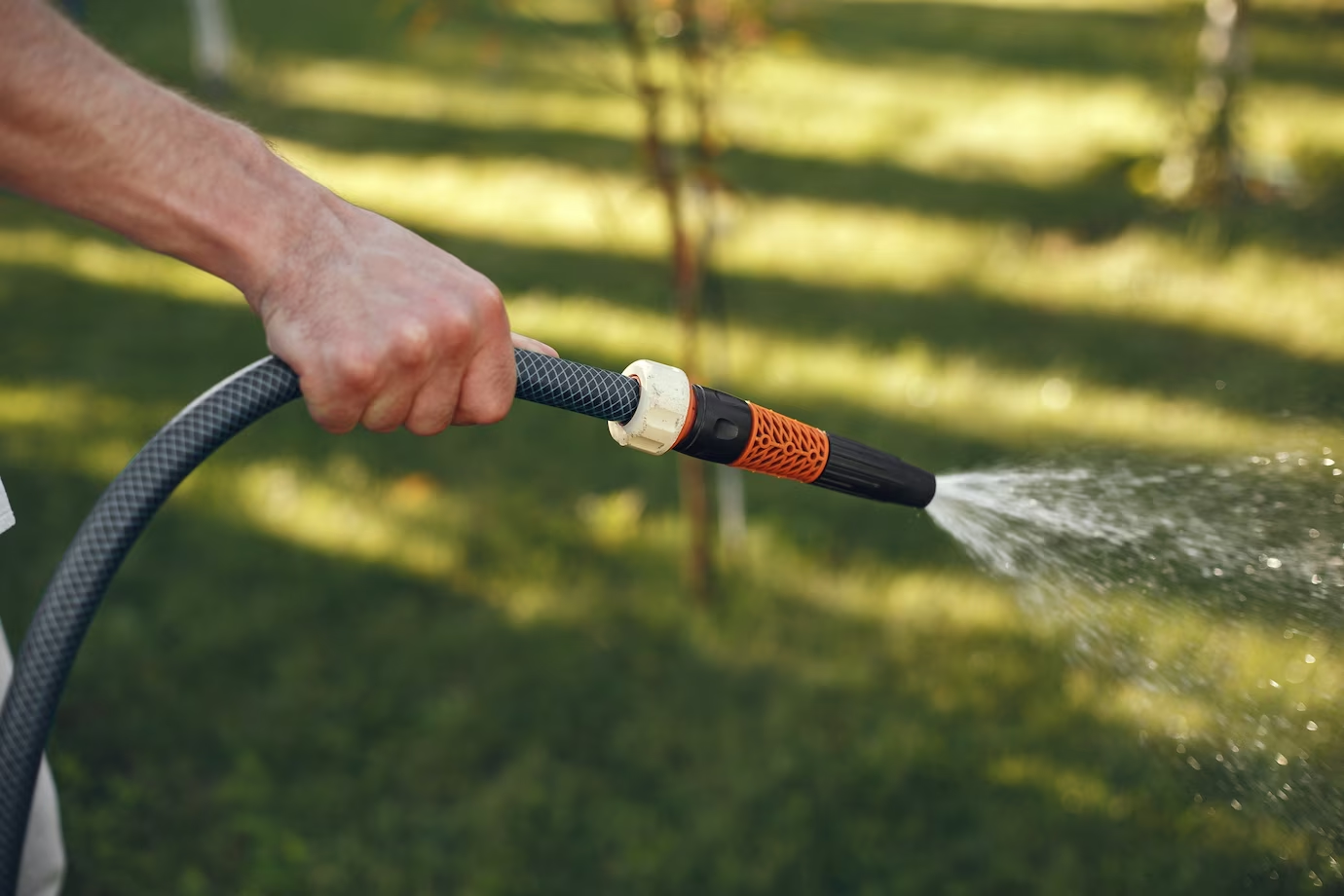 person watering garden with water pipe