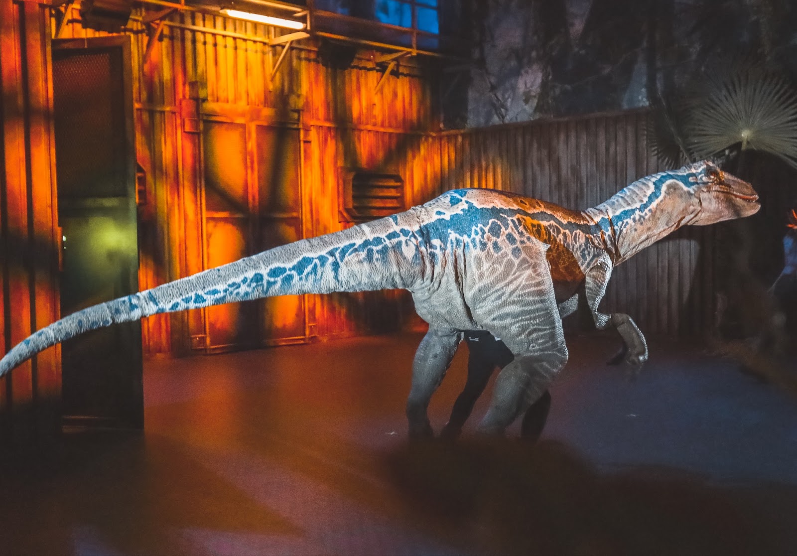 The Jurassic World Exhibition Opens Today At The Grandscape In The Colony Mellowyellowpay 