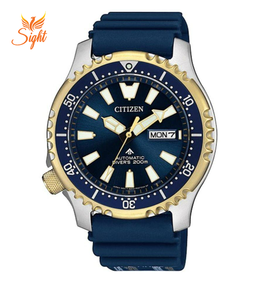 Mẫu Citizen NY0096-12L
