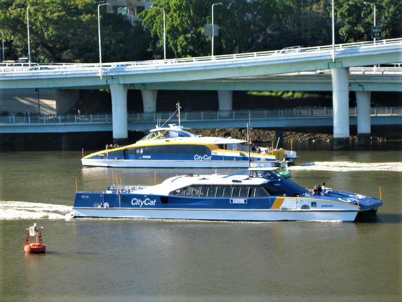 CityCats 