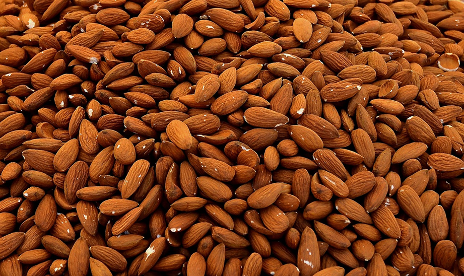Gana con el cultivo de almendras