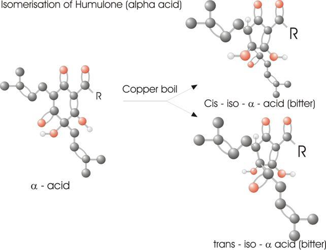 http://www.daltraining.eu/WebHelp/003_Wort_boiling/Section3_files/image063.jpg