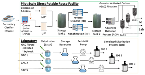 Schematic of a pilot-scale direct potable reuse facility and bench-scale chlorination, reservoir, and simulated distribution systems