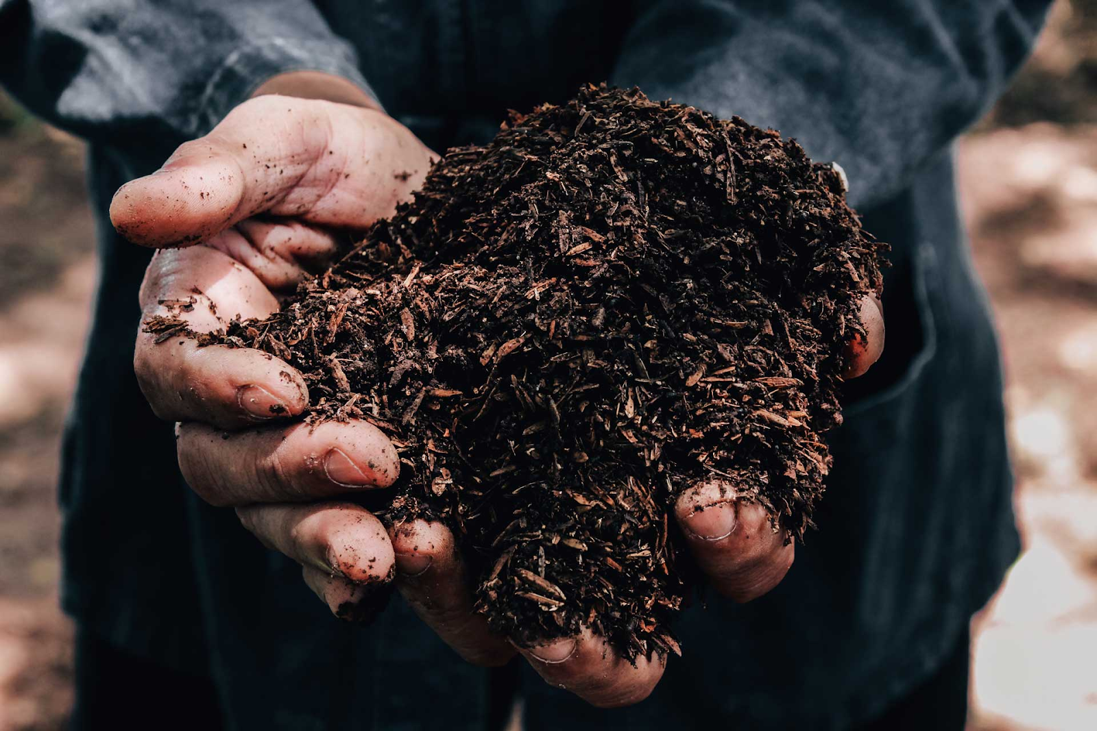Crop rotation improves soil health
