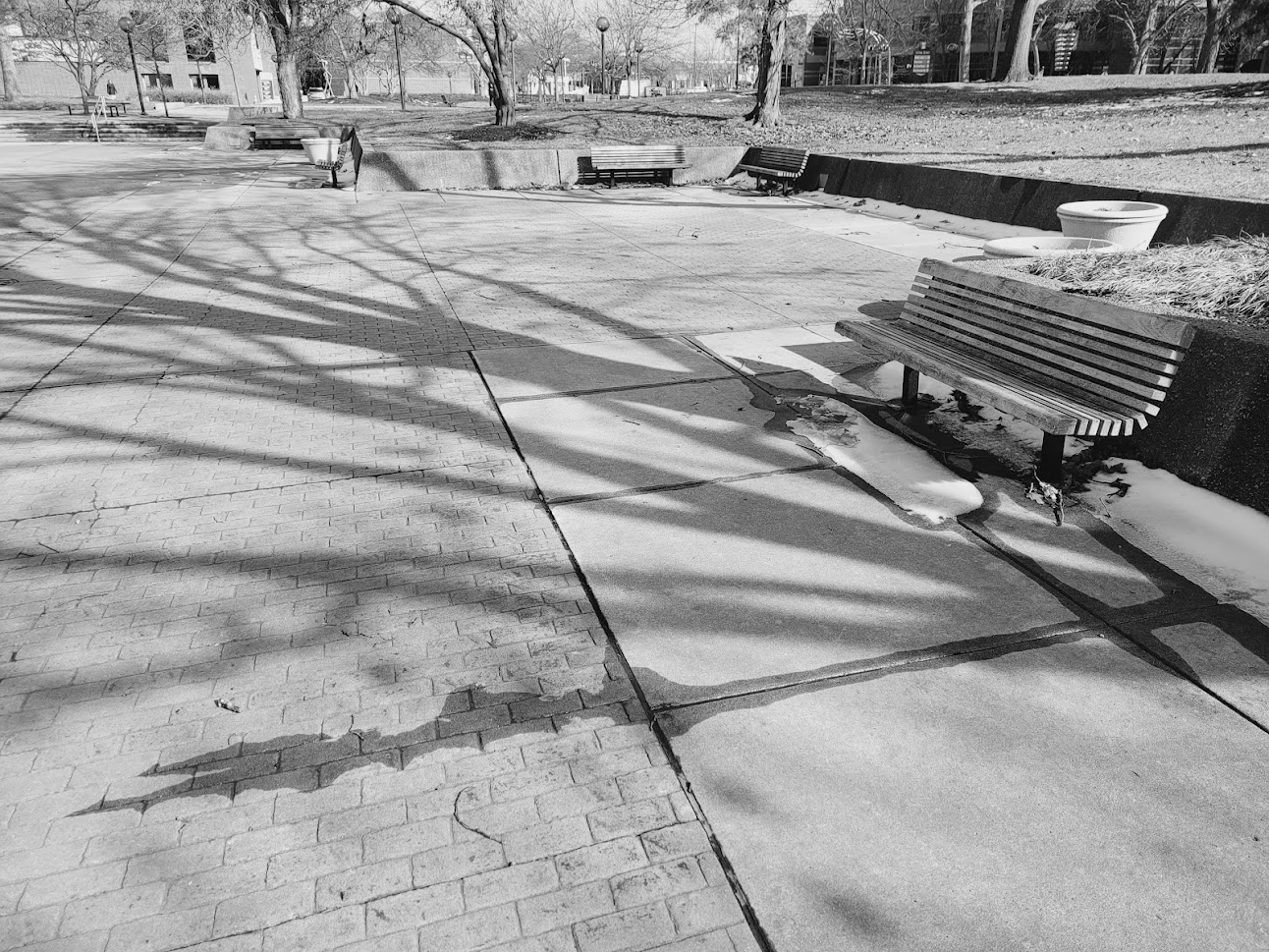 A black and white photograph of a brick path with benches and empty flower pots. In the background you can see buildings and lampposts. 