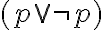 (p vee neg p )