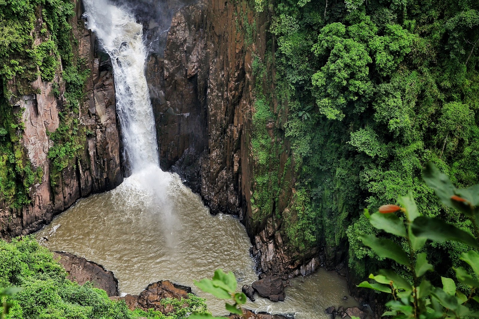 khaoyainationalpark1.jpg