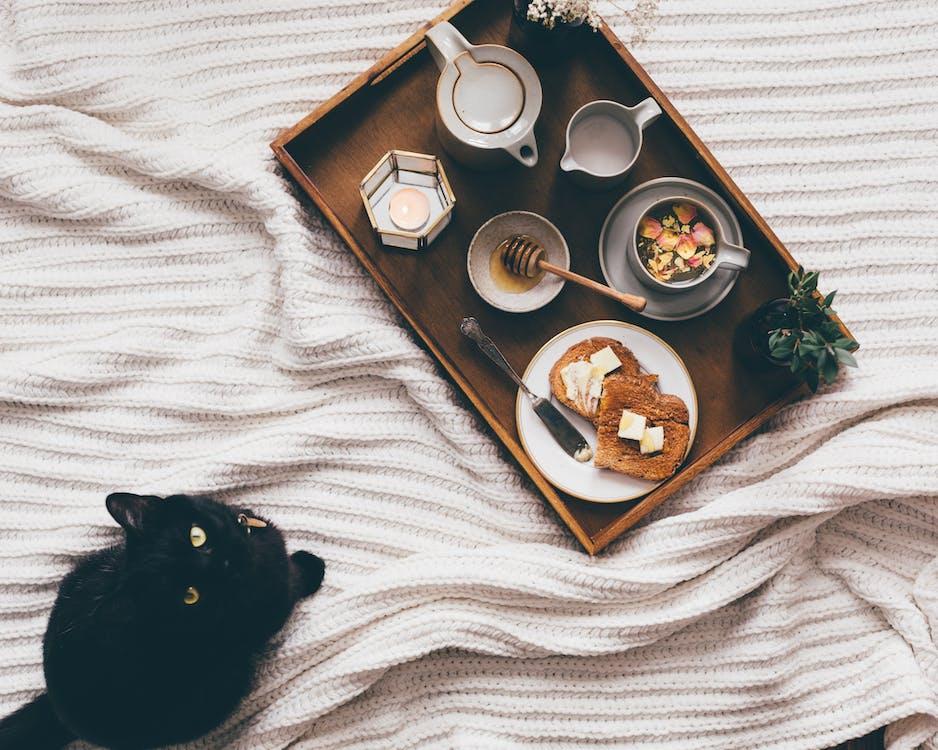 Free From above of wooden tray with delicious homemade breakfast near domestic cat resting on bed and looking at camera Stock Photo