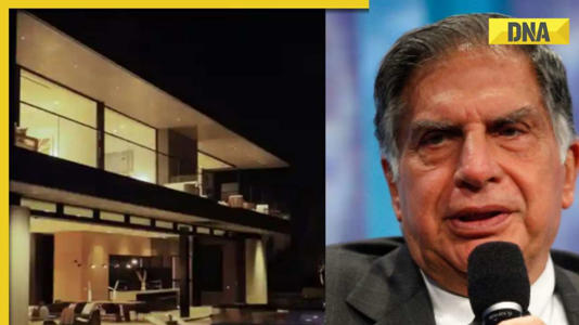 Man becomes 4 times richer than Ratan Tata within minutes, buys mansion worth Rs 200 crore, here's how