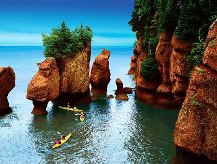 Tour du lịch free & easy Canada - Vịnh Fundy