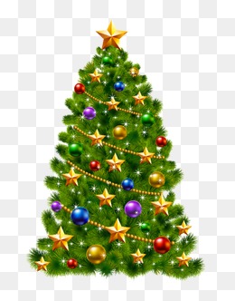 Image result for christmas tree png