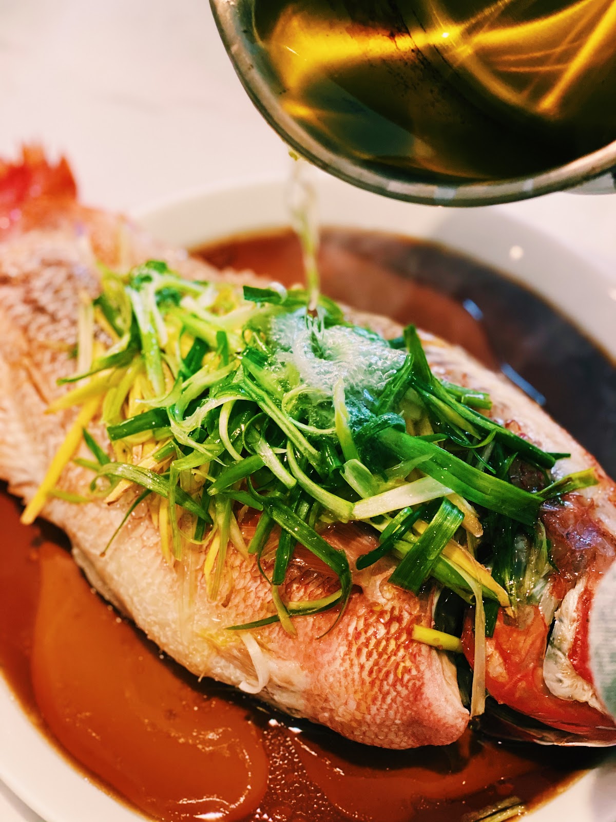 Snapper in chinese