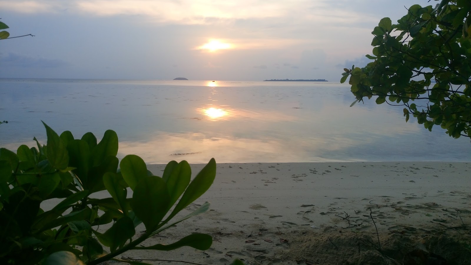 DSC_0033_1.JPG