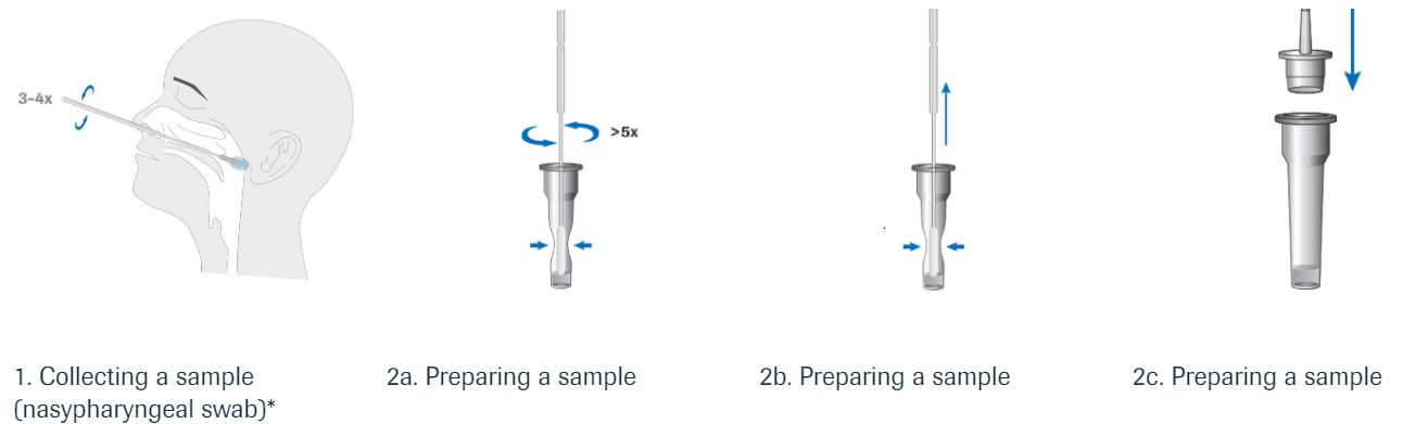 procedure of rapid antigen test