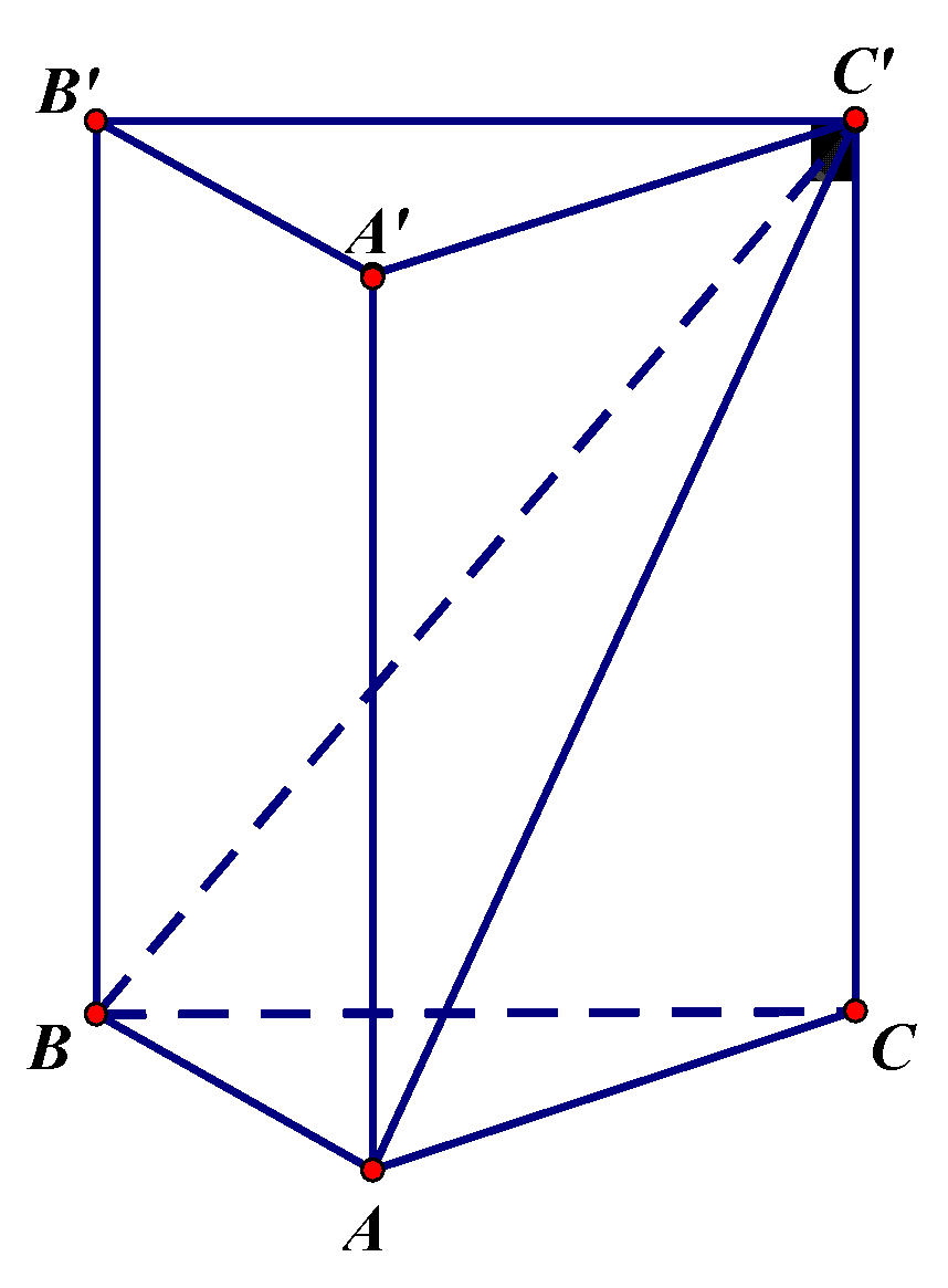 <p>Đề toán 2022 [Mức độ 3] Cho khối lăng trụ đứng (ABC.A'B'C') có đáy (ABC) là tam giác vuông cân tại (A), (AB = 2a). Góc giữa đường thẳng (BC') và mặt phẳng (left( {ACC'A'} right)) bằng ({30^0}). Thể tích của khối lăng trụ đã cho bằng</p> 1