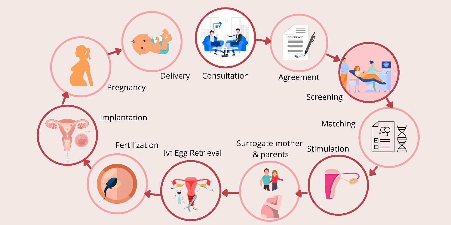 Process of Surrogacy in Nagaland